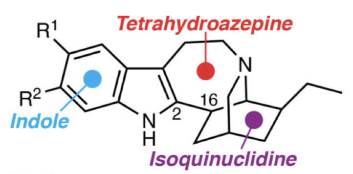 Chemical analog structures