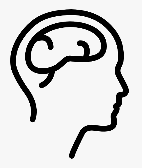 Illustration of brain regions involved in pain and plasticity